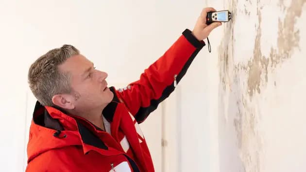 Плесень в муниципальном жилье: почему ей так нравятся городские квартиры