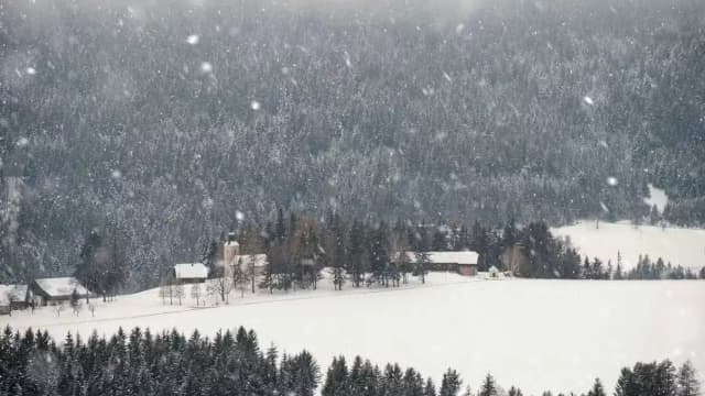 Зима возвращается: прогноз предсказывает снегопад на следующей неделе