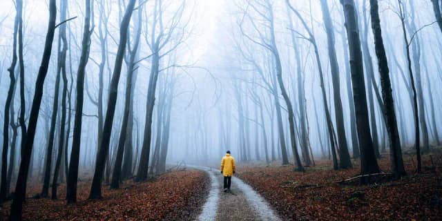 Прогноз на 2026 год: согласно народной примете много ветра и тумана в декабрьские дни означает...