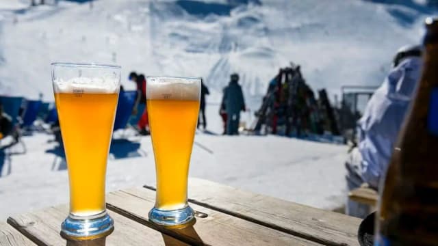 Пьяный слалом: в Австрии обсуждают запрет алкоголя на склонах