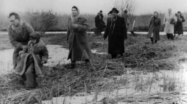 20 декабря - День в истории Австрии