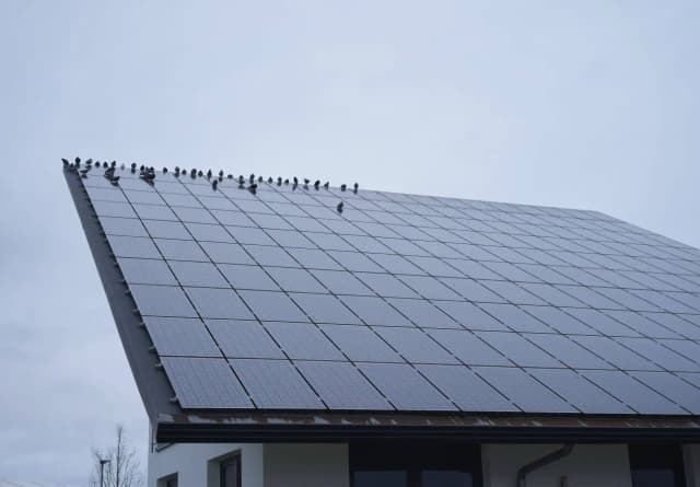 Темные штили тормозят солнечную энергетику: выработка электричества в Австрии снизилась на треть