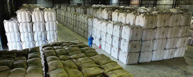 «Смертельный удар по крестьянству»: историческое соглашение ЕС по Mercosur раскололо Европу и бросило фермеров под трактор глобализации