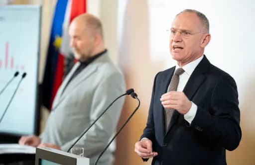 Афганцы и сирийцы лидируют: Австрия подводит итоги миграционной политики за 2025 год