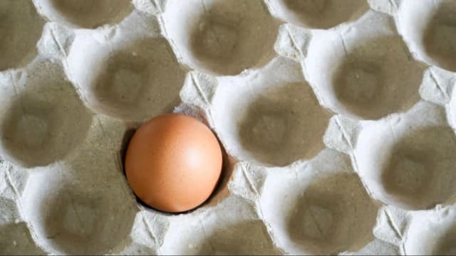 Дефицит  яиц в Австрии продлится как минимум до самой Пасхи