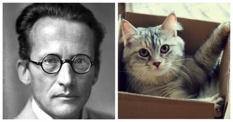 04 января - День в истории Австрии