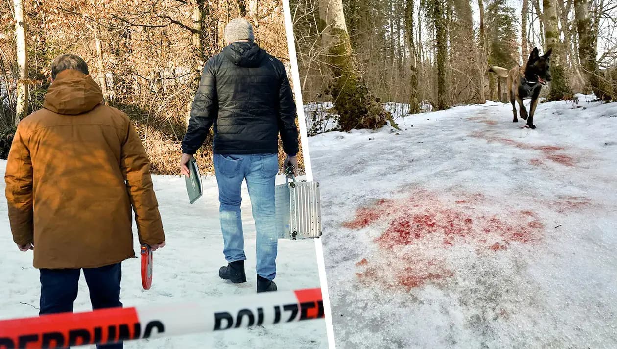 Солдат бундесвера тяжело ранен в лесу у границы с Зальцбургом: полиция ищет неизвестных