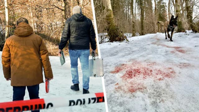 Солдат бундесвера тяжело ранен в лесу у границы с Зальцбургом: полиция ищет неизвестных