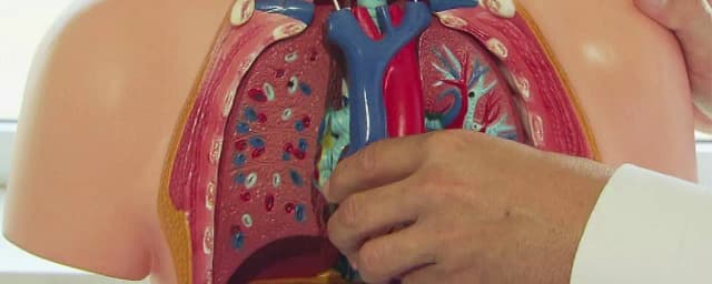 Двойной медицинский скандал в Австрии: здоровые органы удалены из-за фатальных ошибок в диагнозе