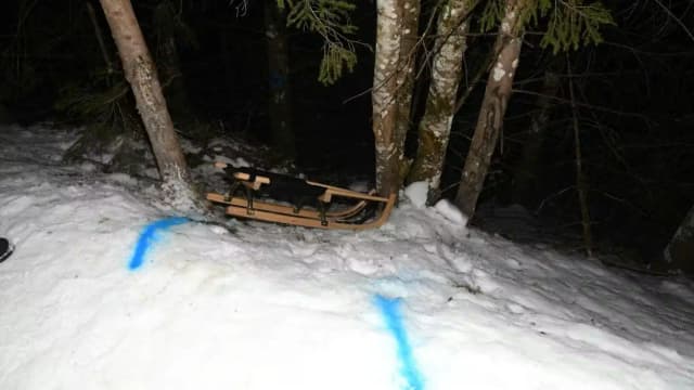 Трагедия в Австрии: 13-летняя школьница погибла во время катания на санях