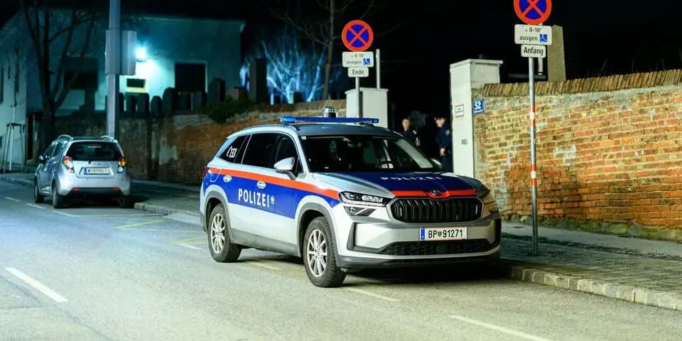 Вена в шоке: на кладбище Баумгартен найдена зарезанной 65-летняя женщина, подозревается 14-летняя