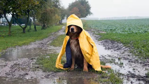 Дождь и снег: новый холодный фронт на подходе, погода в пасхальные праздники будет неустойчивая