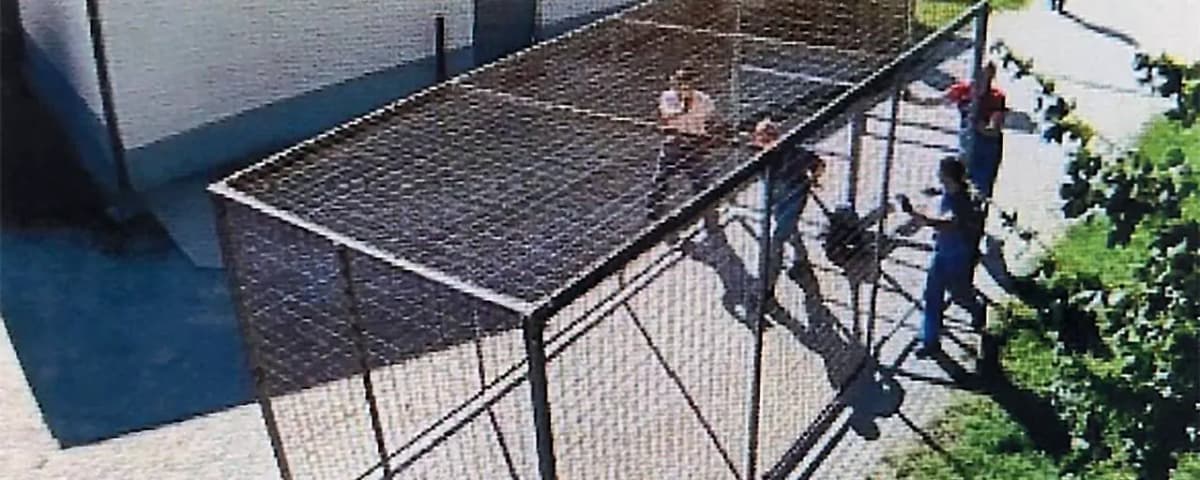 Минюст отрицает, правозащитники и политики настаивают: история с клеткой для заключенной обрастает подробностями